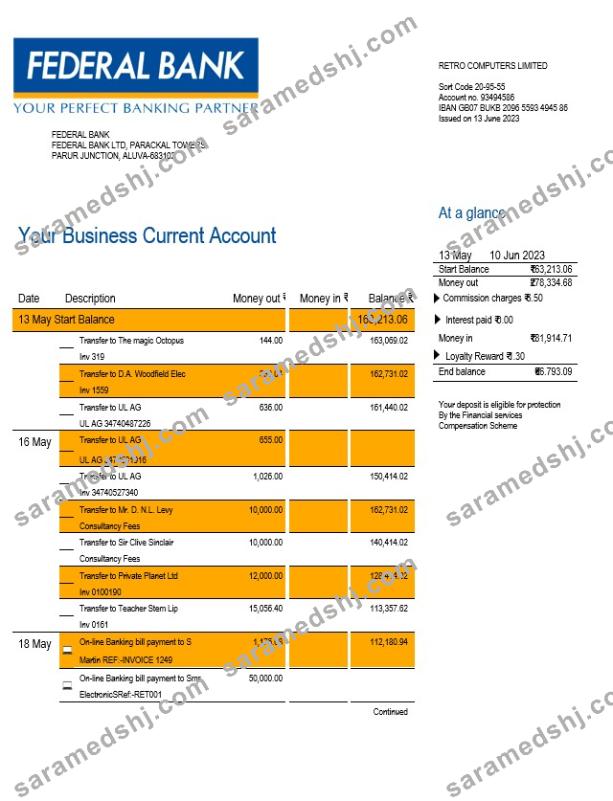 Federal Bank company account statement Word and PDF template